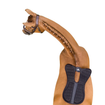 Balancer pad häst